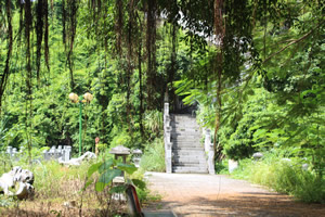 Hoa Lu Hidden Valley